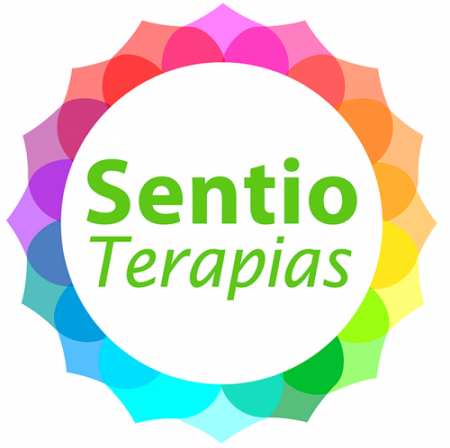 Logo ST 2020 website